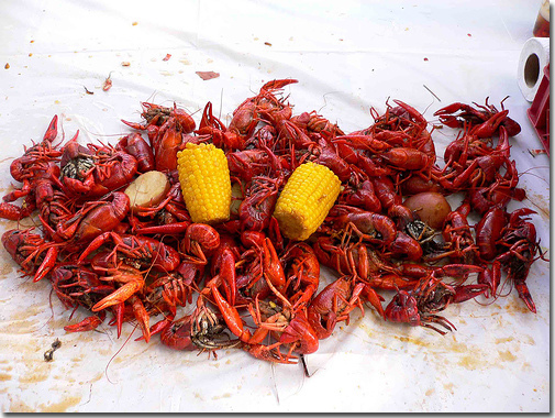 Outdoor Boiled Crawfish - Texas Style!